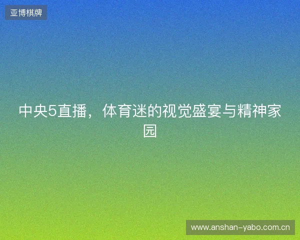 中央5直播，体育迷的视觉盛宴与精神家园